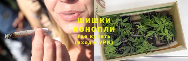мдпв Дмитриев