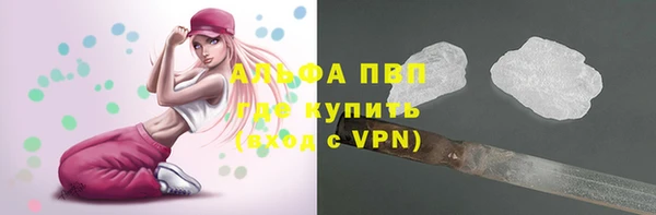 мдпв Дмитриев