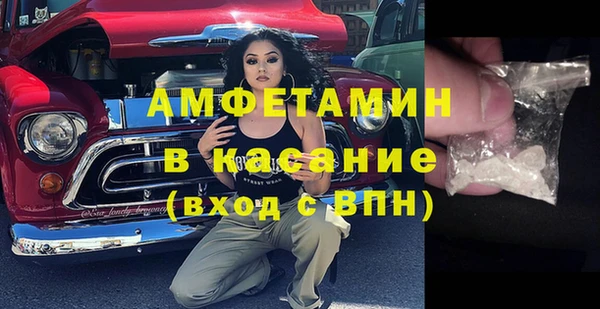 мдпв Дмитриев