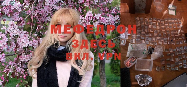 мдпв Дмитриев