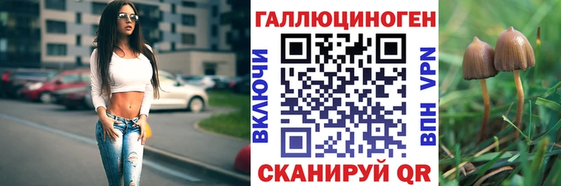 Купить  Каменка  Псилоцибиновые грибы MAGIC MUSHROOMS 